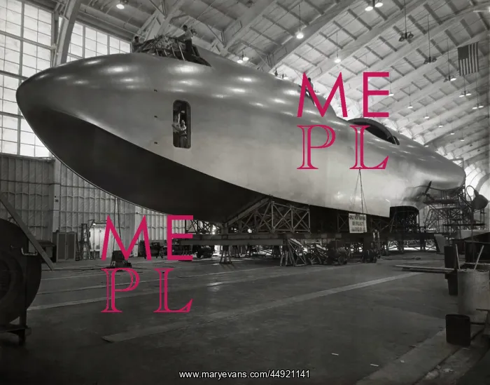 : Hughes H-4 Hercules / Spruce Goose : Hughes H-4 Hercules / Spruce Goose