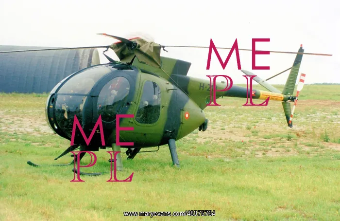 : Hughes OH-6A Cayuse H-213 : Hughes OH-6A Cayuse H-213