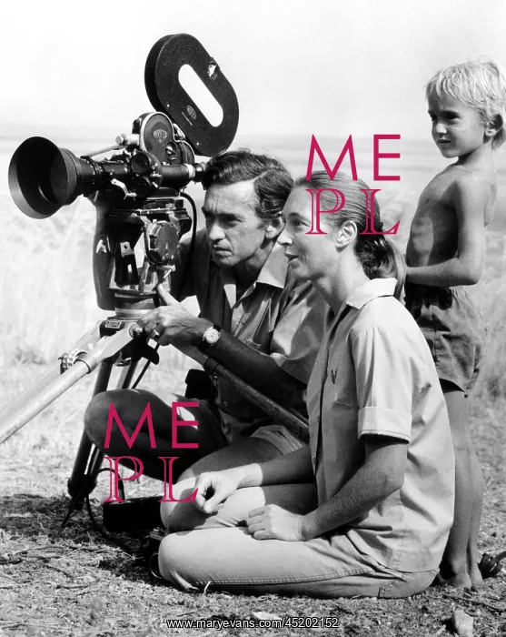 : Hugo van Lawick, Jane Goodall, and their ? : Hugo van Lawick, Jane Goodall, and their ?