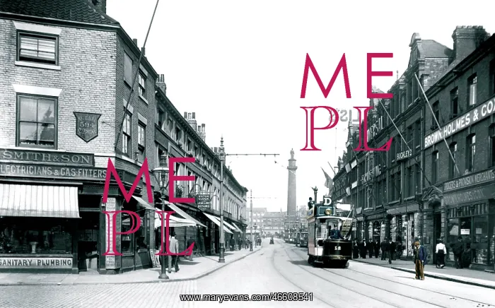  : Hull, Carr Lane 1903