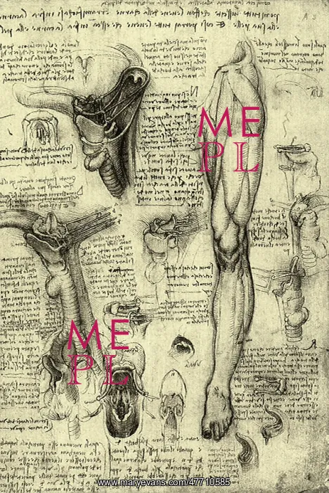 : Human Anatomy : Human Anatomy