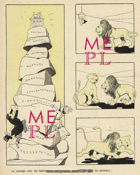 : HUMAN / ANIMAL MARRIAGE : HUMAN / ANIMAL MARRIAGE