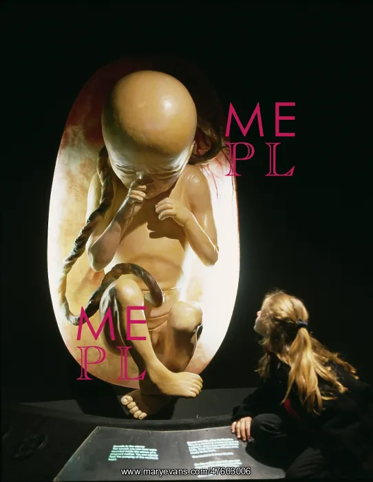: Human biology : Human biology