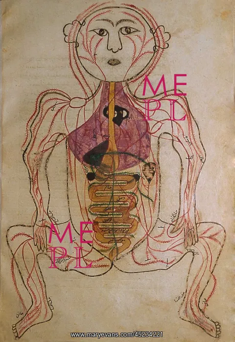: The human circulation system, from MANSUR'S ? : The human circulation system, from MANSUR'S ?
