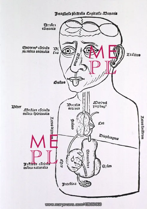 : Human figure, half-length, with some of ? : Human figure, half-length, with some of ?