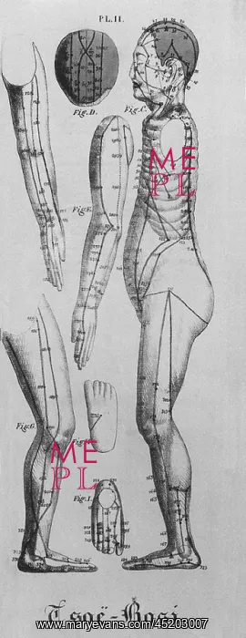 : Human figure shown in left profile with ? : Human figure shown in left profile with ?