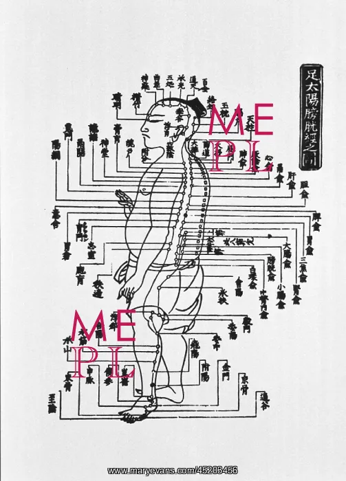 : Human figure shown in left profile with ? : Human figure shown in left profile with ?