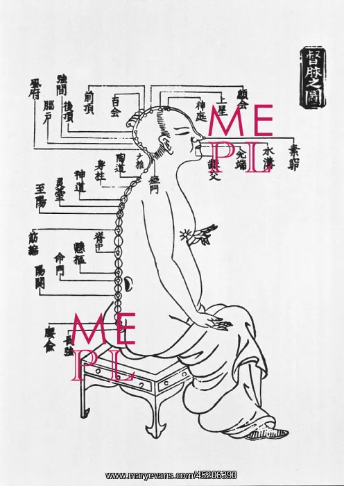 : Human figure shown in right profile with ? : Human figure shown in right profile with ?