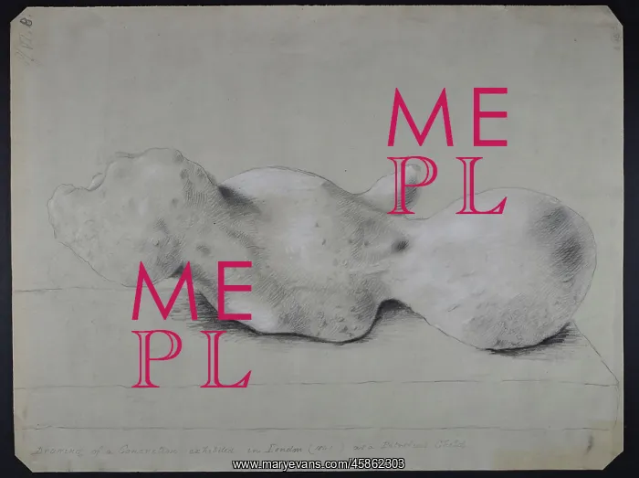 : Human fossil : Human fossil