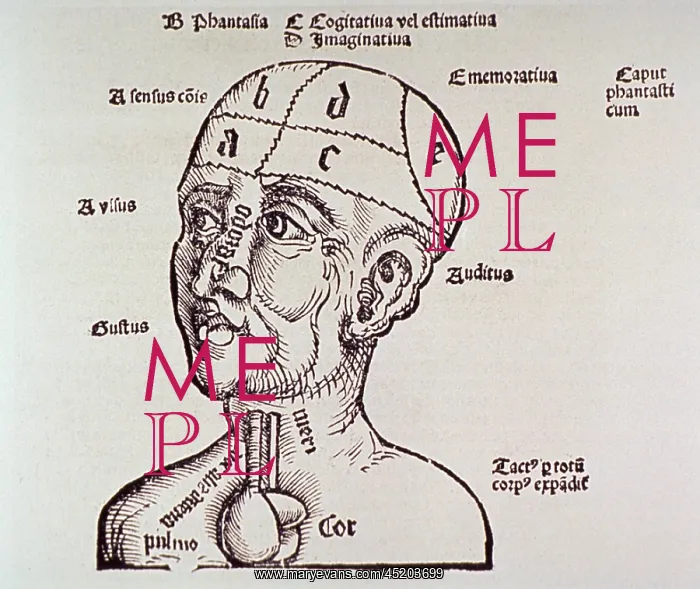 : Human head and shoulders with heart and ? : Human head and shoulders with heart and ?