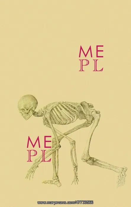 : Human Skeleton, Lateral View... by Stubbs : Human Skeleton, Lateral View... by Stubbs