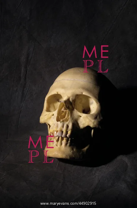  : Human skull