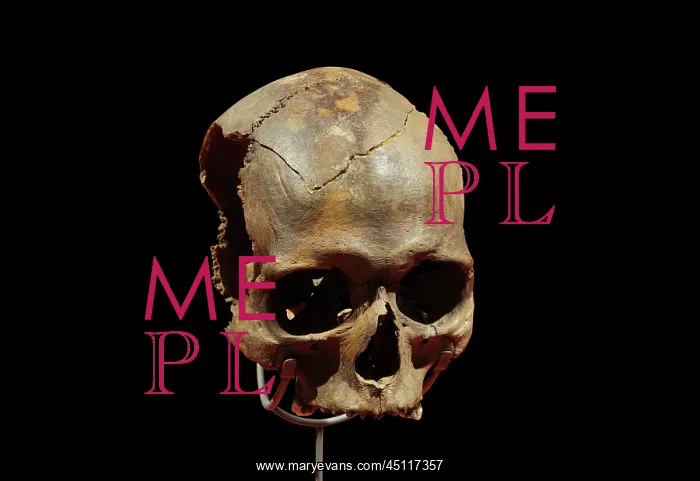 : Human skull, Vindolanda Museum, Hadrian's Wall : Human skull, Vindolanda Museum, Hadrian's Wall