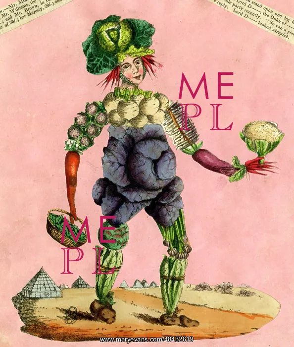  : Human vegetable figure