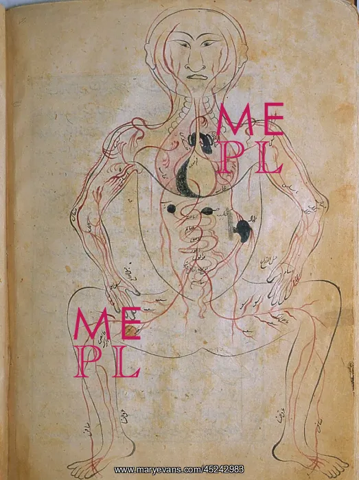 : The human venous system, from MANSUR'S ANATOMY, ? : The human venous system, from MANSUR'S ANATOMY, ?