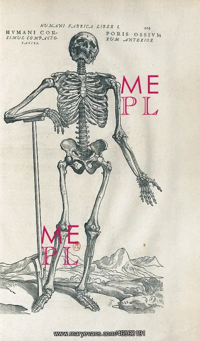 : De Humanis Corporis Fabrica : De Humanis Corporis Fabrica