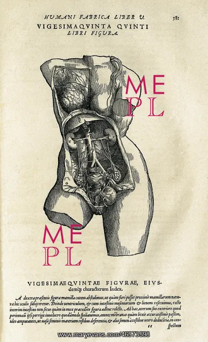 : De Humanis Corporis Fabrica (On the Structure of : De Humanis Corporis Fabrica (On the Structure of
