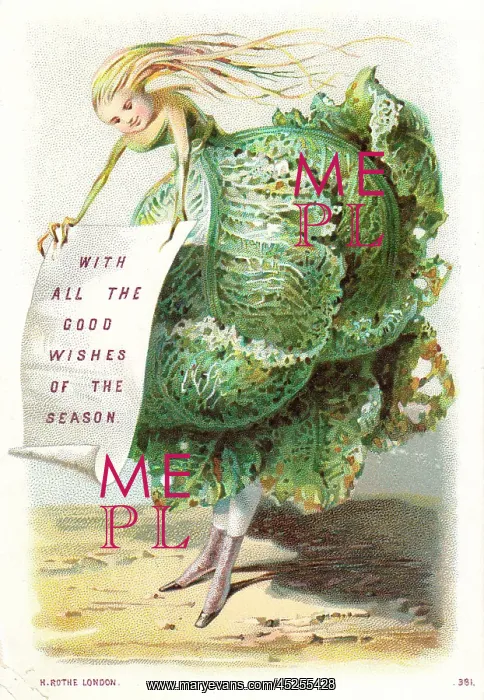 : Humanised cabbage on a Christmas card : Humanised cabbage on a Christmas card