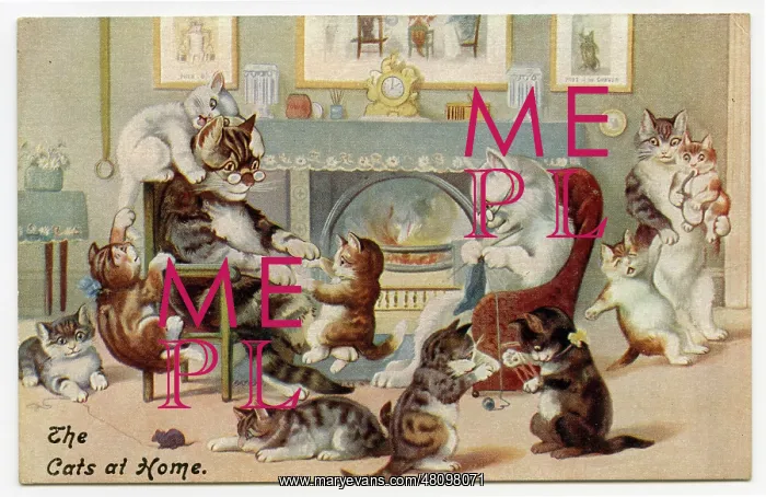 : Humanised cats in a domestic setting : Humanised cats in a domestic setting