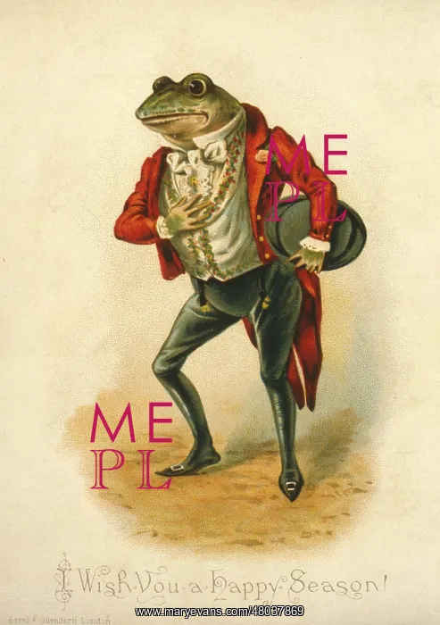  : Humanised frog on a greetings card