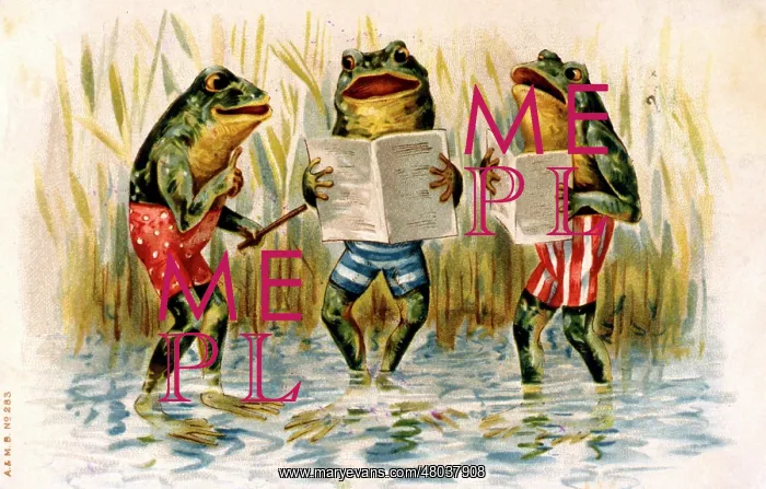 : Three humanised frogs singing : Three humanised frogs singing