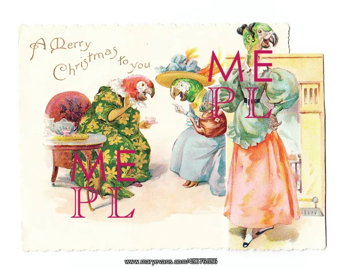 : Humanised parrots on a Christmas card : Humanised parrots on a Christmas card