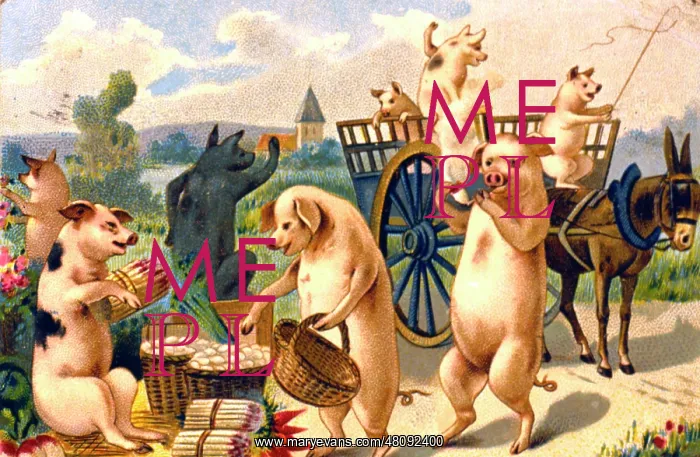 : Humanised pigs in the countryside : Humanised pigs in the countryside