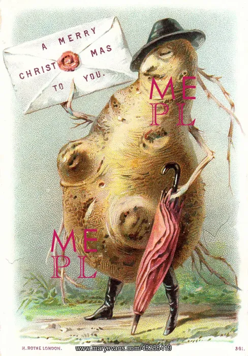 : Humanised potato on a Christmas card : Humanised potato on a Christmas card