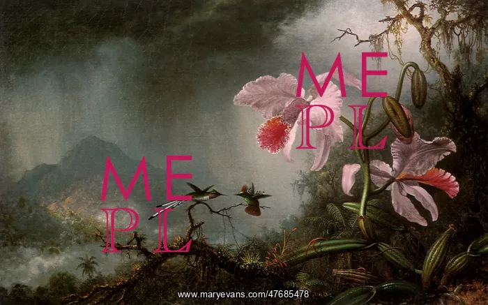 : Hummingbirds and Orchids : Hummingbirds and Orchids