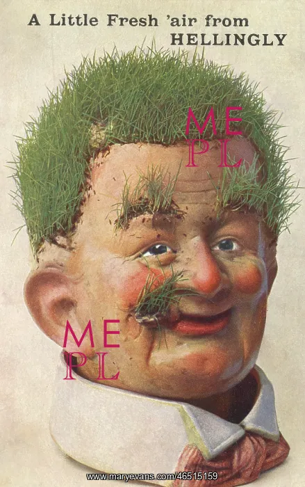 : Humorous card from Hellingly : Humorous card from Hellingly