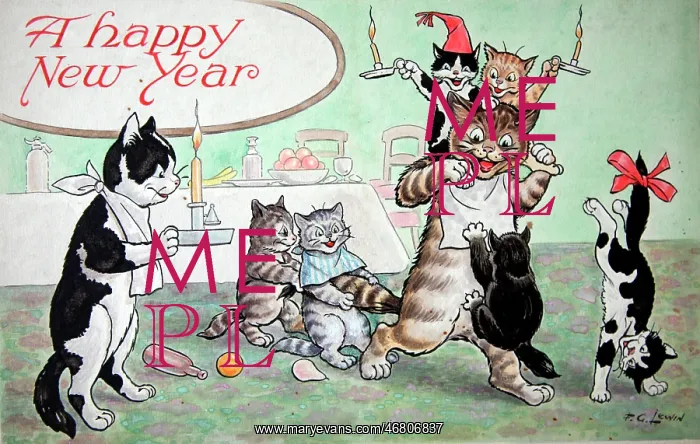 : Humorous cats : Humorous cats