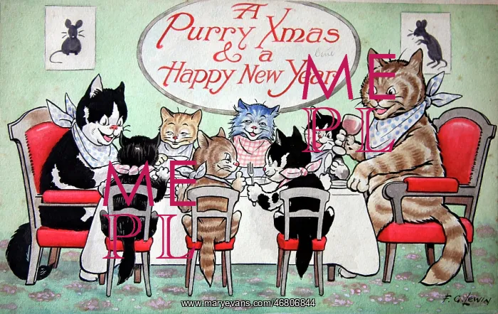 : Humorous cats : Humorous cats