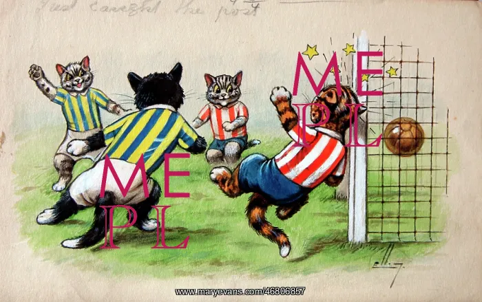 : Humorous cats : Humorous cats