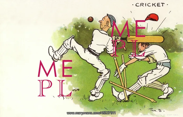 : Humorous Cricket Postcard - Wicketkeeper struck : Humorous Cricket Postcard - Wicketkeeper struck