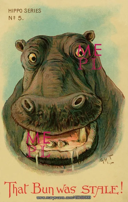 : Hippo. Humorous drawing of a hippo. That bun was STALE'. Artist George Henry Thompson : Hippo. Humorous drawing of a hippo. That bun was STALE'. Artist George Henry Thompson