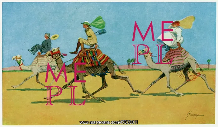 : Humorous ride on a camel in Egypt : Humorous ride on a camel in Egypt