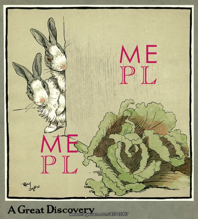 : Humpty and Dumpty the rabbits find a cabbage : Humpty and Dumpty the rabbits find a cabbage