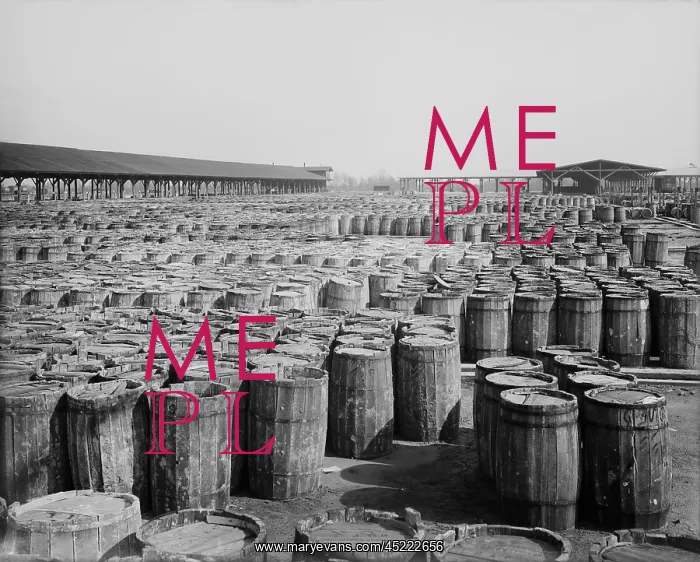 : Hundreds of barrels on the wharf of Savannah, ? : Hundreds of barrels on the wharf of Savannah, ?