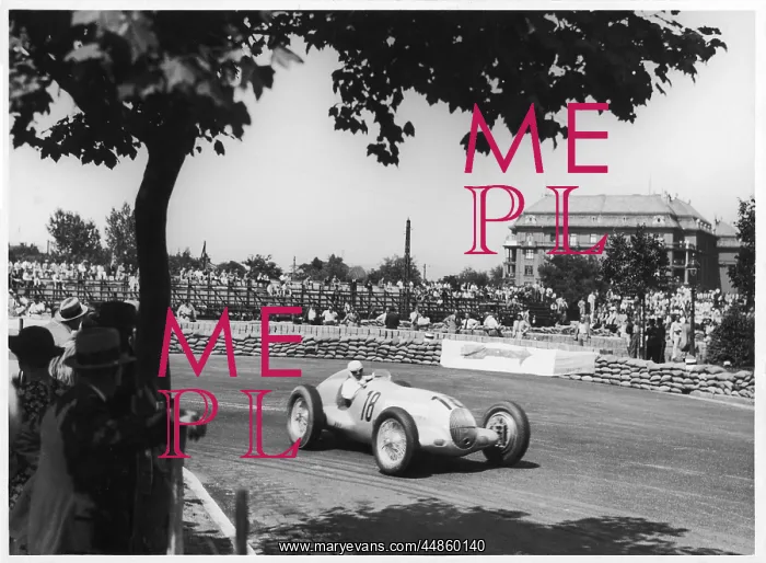: HUNGARIAN GRAND PRIX : HUNGARIAN GRAND PRIX