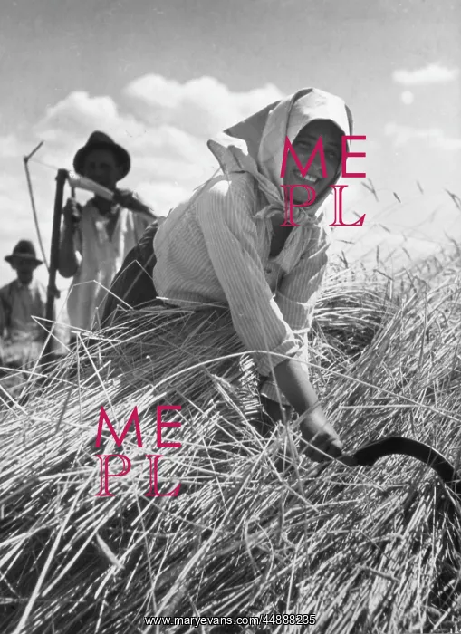 : HUNGARIAN HARVEST : HUNGARIAN HARVEST