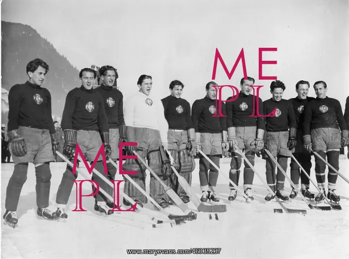 : The Hungarian hockey team : The Hungarian hockey team