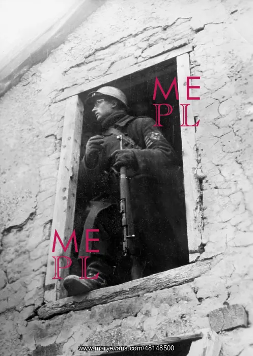 : Hungarian member of the Arrow Cross, 1944 : Hungarian member of the Arrow Cross, 1944