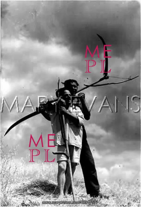 : HUNGARIAN REAPERS : HUNGARIAN REAPERS