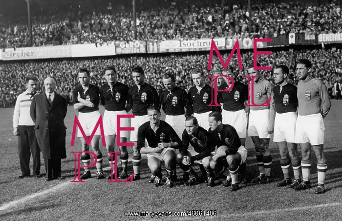 : Hungarian soccer team : Hungarian soccer team