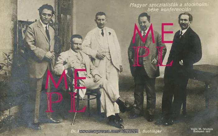 : Hungarian Socialist delegation : Hungarian Socialist delegation