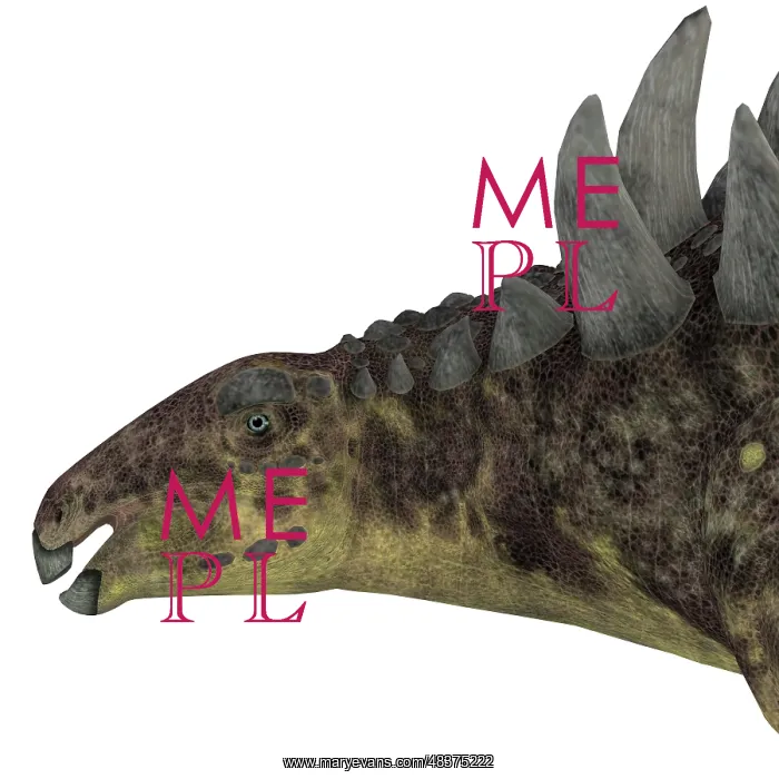 : Hungarosaurus dinosaur head : Hungarosaurus dinosaur head