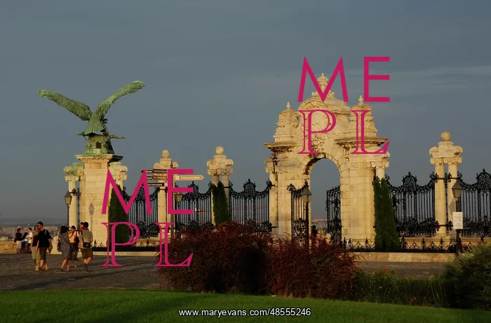 : HUNGARY. BUDAPEST. Details of the Royal Palace : HUNGARY. BUDAPEST. Details of the Royal Palace