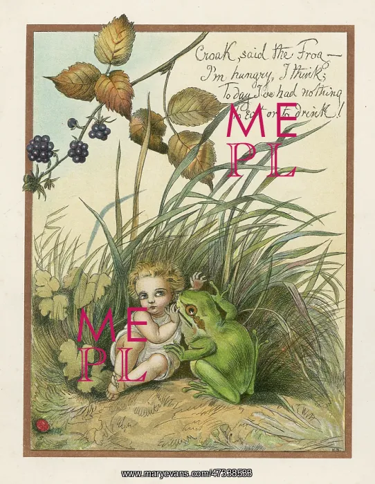 : HUNGRY GREEN FROG BOYLE : HUNGRY GREEN FROG BOYLE