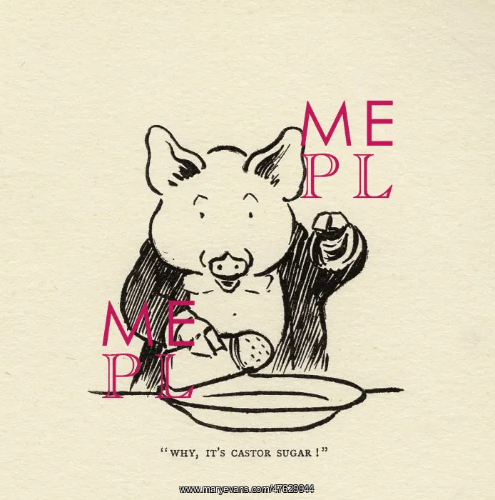 : Hungry Peter the pig putting sugar in the soup : Hungry Peter the pig putting sugar in the soup