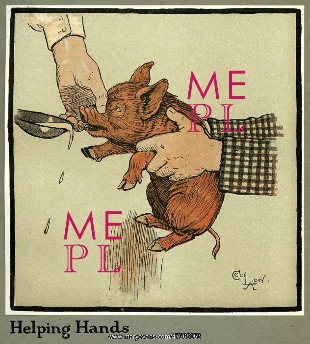 : Hungry Peter the pig, as a young piglet : Hungry Peter the pig, as a young piglet